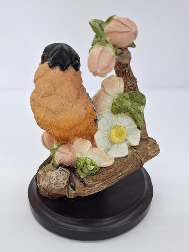 Vogelwelt collection gimpel - collection,