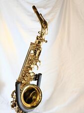 Saxophon neuwertig Altsaxophon Roy Benson AS 202 im Original-Koffer Rucksack 