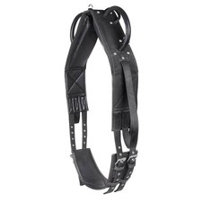 Waldhausen Schwarz PON