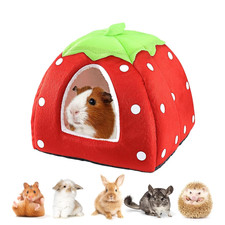 Meerschweinchen kuschelhöhle - meerschweinchen,