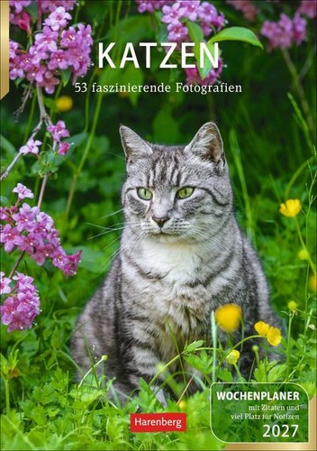Katzen wochenplaner 2027 53 - katzen,