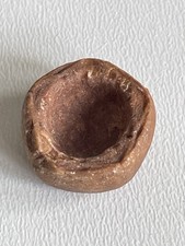 Syntomocrinus sundaicus