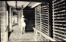 Ak Sri Lanka Ceylon, Tee, Trocknung - 4164718