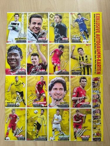Autogrammkarten 2012 - /13,