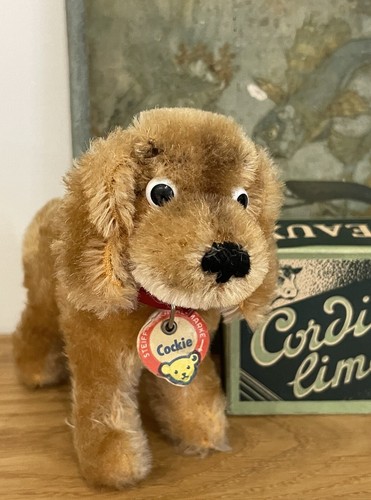 Antik vintage steiff cockie - steiff,