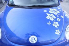 VW New Beetle 9C Motorhaube
