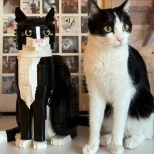 Ideen Katze (21349) Fun Building Brick für Kinder oder Erwachsene 1710 Stücke**