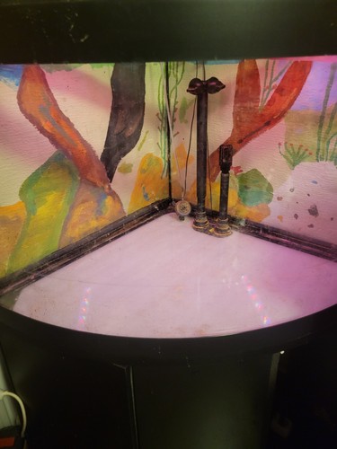 Eckaquarium juwel 190 mit - eckaquarium,