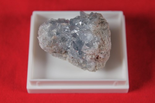 *Coelestingeode*in