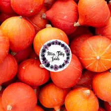 HOKKAIDO Kürbis RED KURI 10