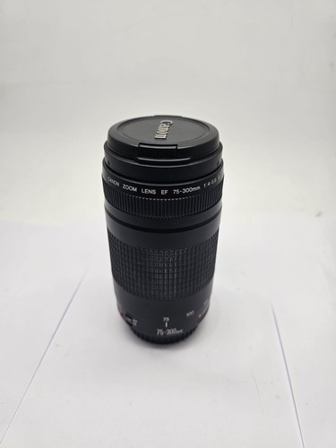 Canon teleobjektiv 300 mm - teleobjektiv,