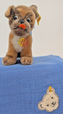 Steiff Hund Mops "Mopsy"
