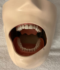 KaVo G50 J Gebissschädel Simulator TPK Phantomkurs