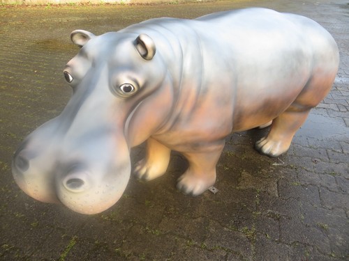 Nilpferd flusspferd - nilpferd,