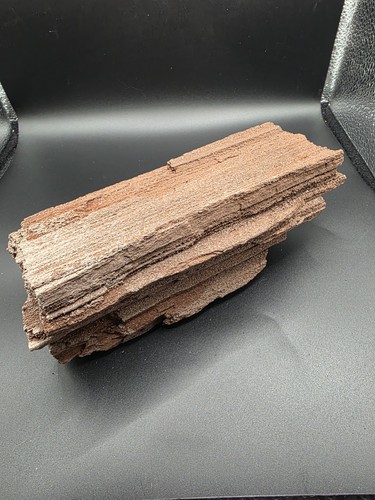 Versteinertes holz zwenkau - versteinertes, holz,zwenkau