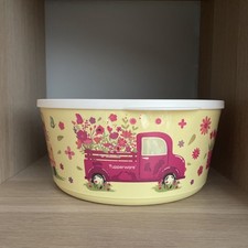 Tupperware Schüssel Ilumina