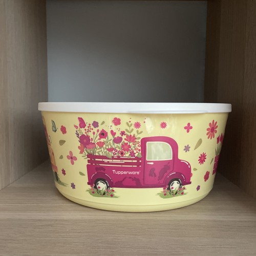 Tupperware schüssel ilumina - tupperware,