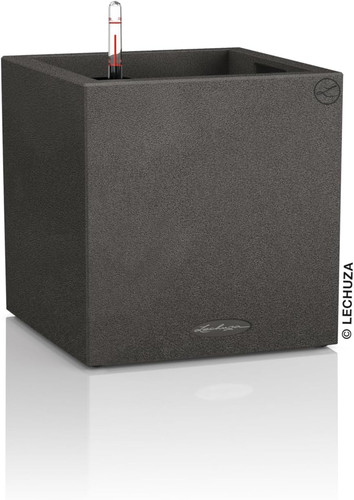 Lechuza canto stone low - canto,