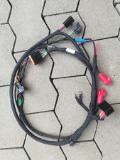 Rotax Kabelbaum 2017, Tony