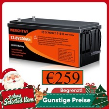 LiFePO4 Akku 300Ah 12V Lithium
