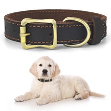Hundehalsband Leder Hunde