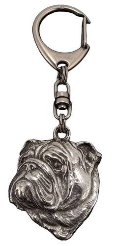 Bulldog englische bulldogge - bulldog,,