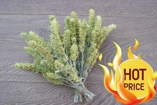 1 Kg natürlich, aromatisch, unverfälschte Premium BioQualität Sideritis Bergtee