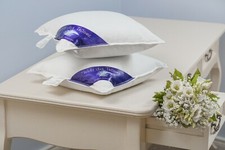 PREIS HIT 100% NATUR DAUNEN