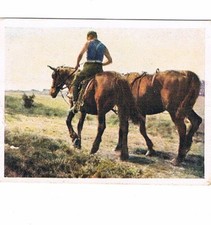 Auf Deutscher Scholle Nr. 53