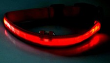 Halsband LED beleuchtet für