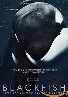 Blackfish dvd zustand sehr - zustand,