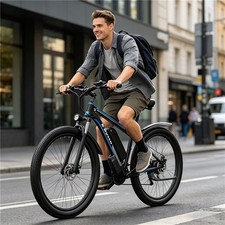 29'' Elektrofahrrad 48V 17.5Ah