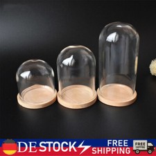 Transparent Glas Dom Glasglocke mit Holzbasis für Figurenaktion Puppe Anzeige DE