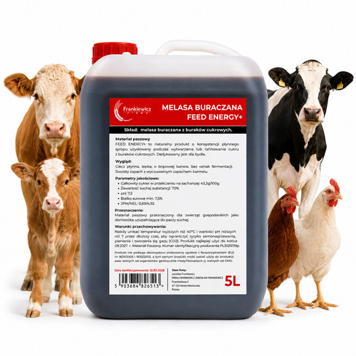 Zuckerrübenmelasse - , 5l