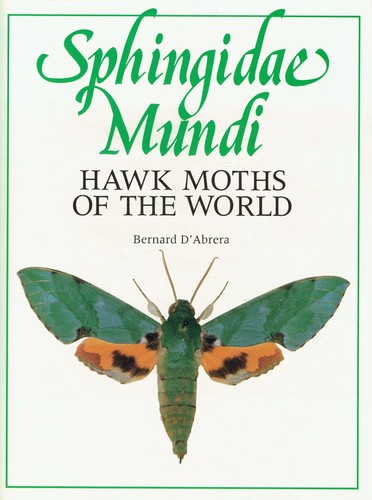 Abrera bernard sphingidae - bernard,
