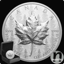 MAPLE LEAF - Kanada 2024 - 1