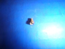 1980 Puch Sport MK 2 Moped 50