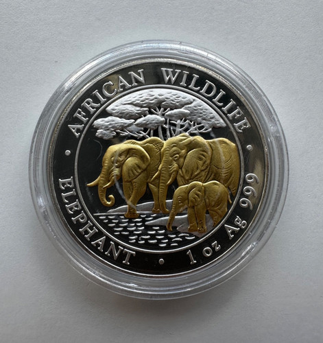 2013 african wildlife - african, elephant