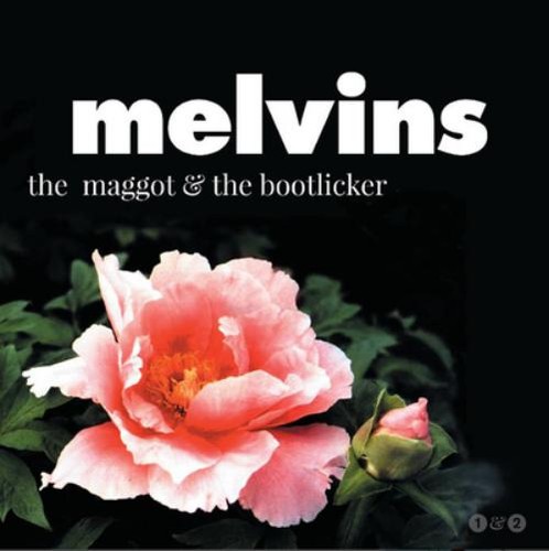 Melvins the maggot - maggot,