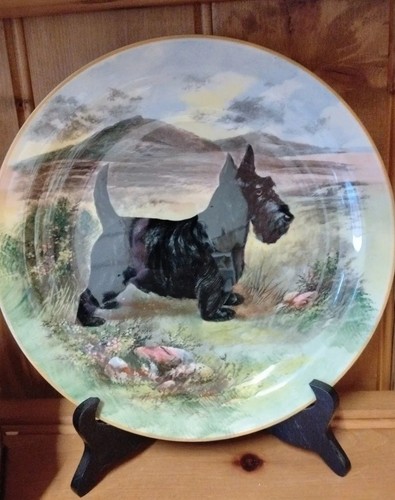 Royal doulton scottie - royal,