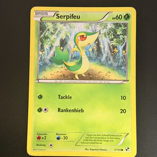 Serpifeu 114 schwarz - |, &
