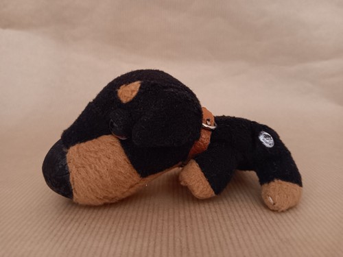 The dog artist collection - ,