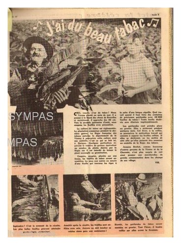 1959 dokument - dokument, 37)