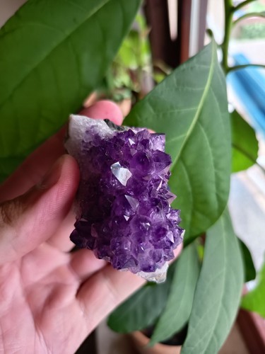 Amethyst kristallstufe druse - amethyst,