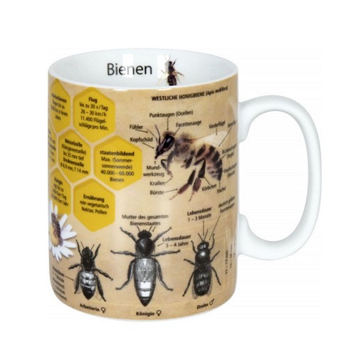 Könitz becher bienen - -,