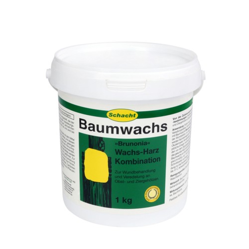 Schacht baumwachs brunonia - schacht,