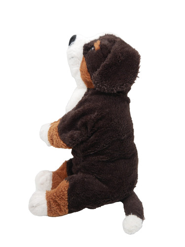 Ikea hund hoppig - ikea, berner