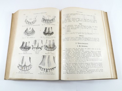 Lehrbuch für den