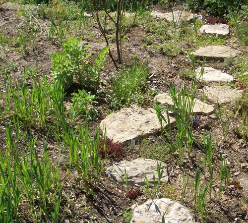 Naturstein trittplatten - 1x,