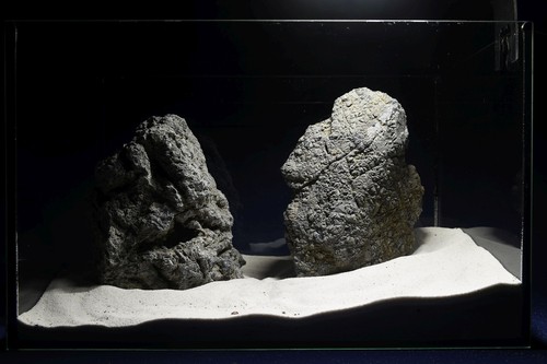 Geo rock - geo, stone